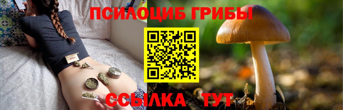 Псилоцибиновые грибы прущие грибы  Галлюциногенные грибы Psilocybe  Соликамск  Вход с VPN 